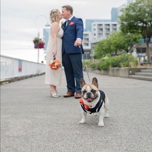 Meet your Posher, Tanya